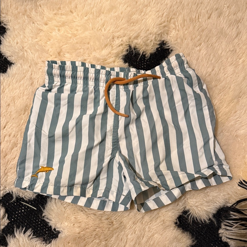 Striped Swim Shorts with Dolphin Logo